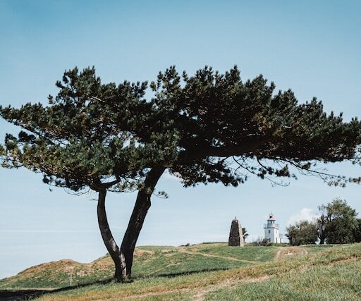 Glamping på Sjælland